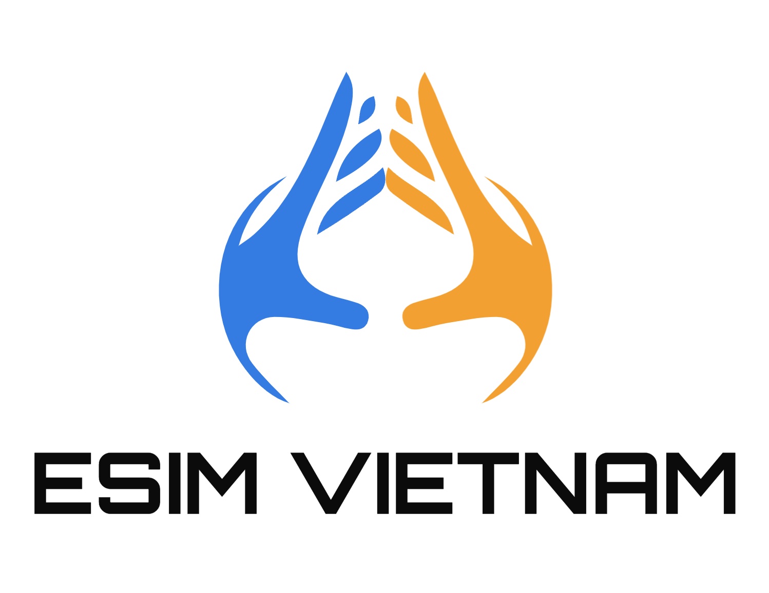 Esim Vietnam Cheap